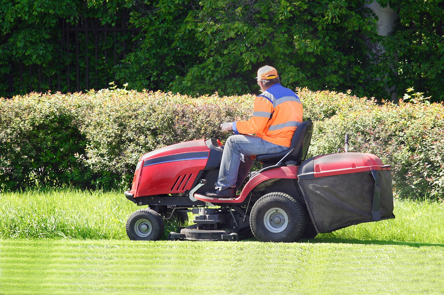Mow the lawn
